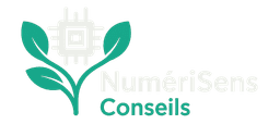 NumériSens Conseils