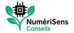 NumériSens Conseils